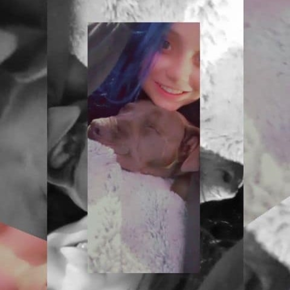 Meet your Posher, Shyanne